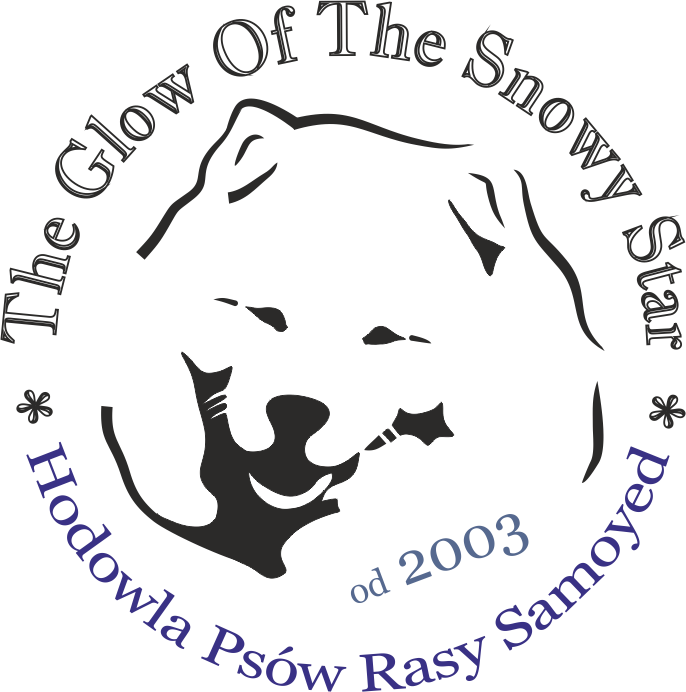 The Glow of The Snowy Star
