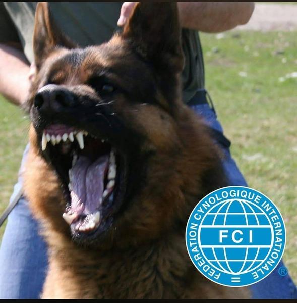 FANGUARD