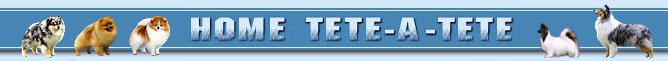 Houm Tet-a-Tet