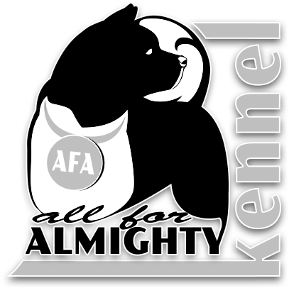American Akita ALL FOR ALMIGHTY kennel FCI