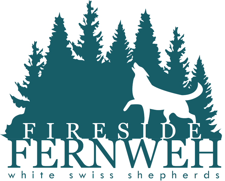 Fireside Fernweh