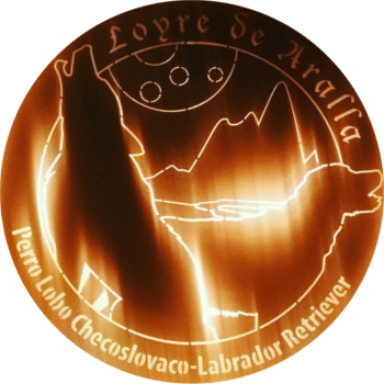 Loyre de Aralla