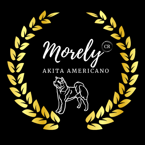 morelycr