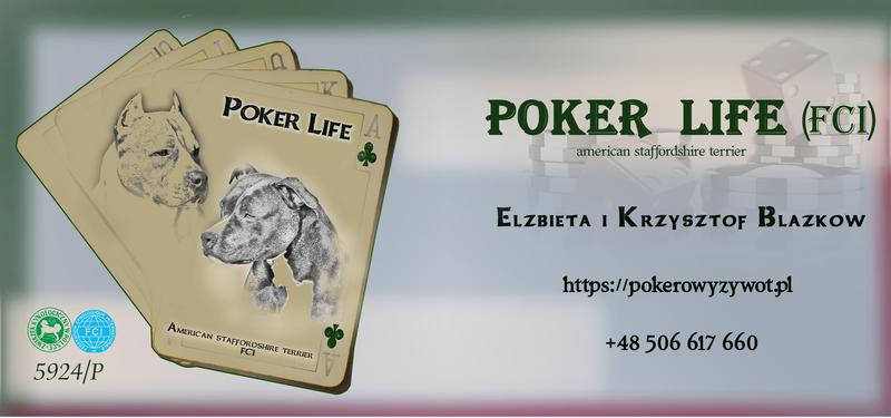 Pokerowy Zywot FCI