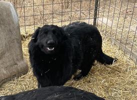 She is a big girl