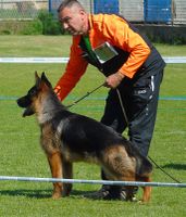 Valter von Rozzen 7 mons