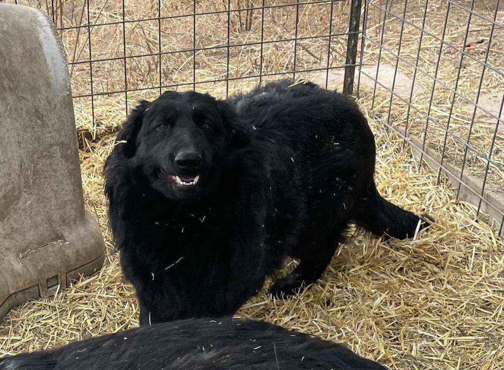 She is a big girl