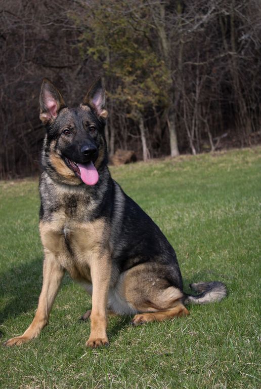 Female Available