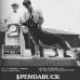 Bachchen's Spendabuck