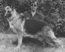 Mazza Manor's Ruffy of San-Jo