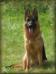 Bouba  (Head)  1 year old