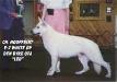 Hoofprint Ez White Op Den Dyck