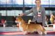 BOB at Speciality Show