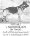 Alf vom Nordfelsen