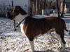 OUR CHAMPION FEMALE REBA