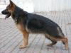 7 1/2 months old
