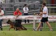 world dogs show Milano 