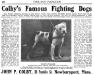Colby's Pincher (John P. Colby Kennel Ad from The Doig Fancier)