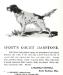 Sport's Count Danstone (003490) Kennel Advertisement from Field Trial Record of Dogs in America