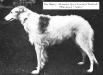 Alex (c.1900) [owner: Princess of Whales]'s stacked picture