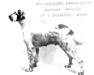 Deodora Prince (AKC 094159) a Cruft's Dog Show Winner