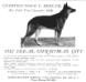 Flock von Bern's December 1922 Rexden-Belcarza Kennels ad from Harper's Bazaar