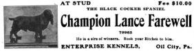 Lance Farewell (079965)'s 1906 Ad
