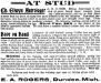 Ellwyn Astrologer's kennel advertisement and write up