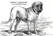 Beaufort (1884) KCSB 13504