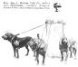 GreenRiver KingCraft, Kennel Worth and Kennel Pride 