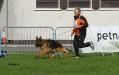 Sieger Show Ireland 2009