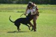 Caden IPO 3 obedience October 15, 2016