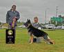 Best of Breed - Judge Michael Cheeks