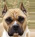 Etta's face pic