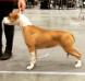 First Show Age 4,5 months