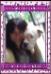 Owner Renee Hardee (Morrell) will return to Morrell after divorce is final. Renee is Tunnel Springs Bullies, and the sole owner/breeder of all d