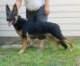 8 1/2 months old