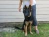 8 1/2 months old