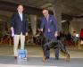 Durham Kennel Club, Raleigh, NC  9/2017