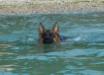 Tino at Black Sea