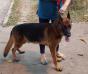 with his human mom