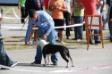 In ring with best handler Dusan 