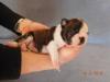 17 days old - jours