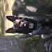 Ame loves the creek..