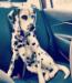 Call name suki