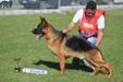 Fecha: Mayo / Date: May