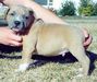Baby Bonanza 6 weeks old
