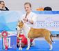 Юный победитель выставки "Россия '18" Кубок президента РКФ BOB Junior
