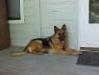 Abby daughter 