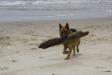 Raul on the beach